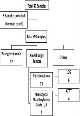 Plasma miRNA expression profile in pediatric pineal pure germinomas